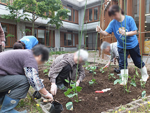 畑作業を行うご老人